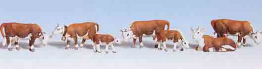 HO Hereford Cows