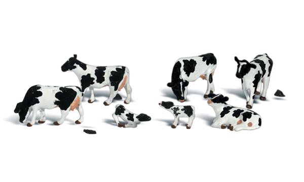 O Holstein Cows 