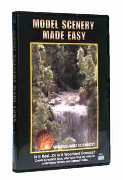 Scenery Made Easy DVD