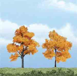 2 1/2-3" Fall Maple Trees (2)