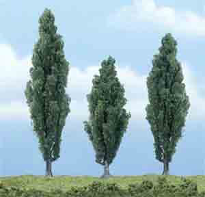 3 1/2-4 3/4" Poplar Tree (3)