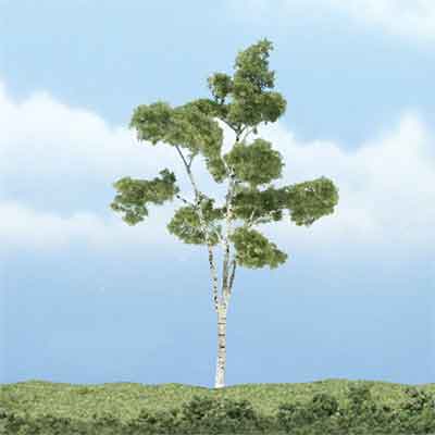 4" Paper Birch Tree (1)