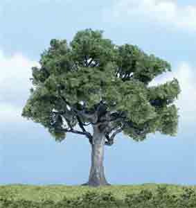 4" Walnut Tree (1)