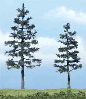 4-5 1/4" Pine Tree (2)