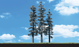 7"-8" Standing Timber trees (3 pce)