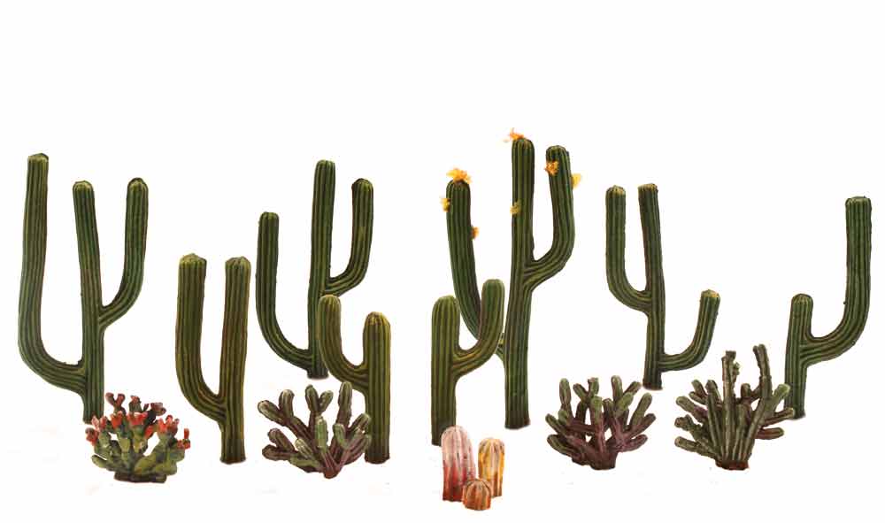 1/2 - 2 1/2" Cactus plants (13 pk)
