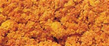 Orange Fall Coarse shaker