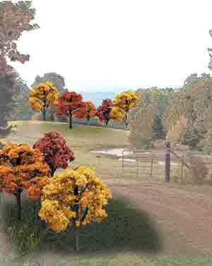 2"-3" Fall Deciduous Tress (23)