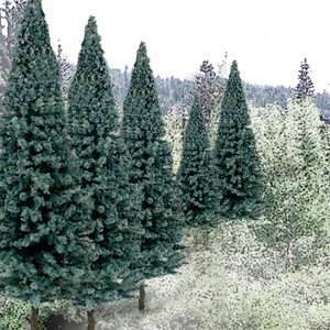 2"-4" Blue Spruce (18)