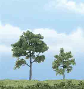 2 - 3" Locust Trees (2)