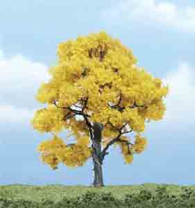 4" Fall Beech Tree (1)