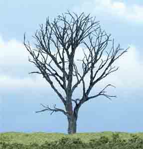 4 1/4" Dead Maple Tree (1)