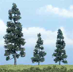 2 1/2-5 1/4" Juniper Trees