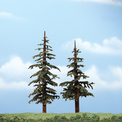 5"-6" Lodgepole Tree -2 pack