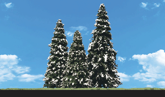 2"-3-1/2" Snow Dusted Trees (5 pce)