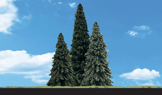 3-1/2"-5-1/2" Forever Green Trees (4pce)