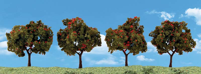 2"-3" Apple Trees (4 pce)